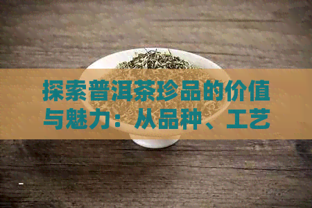 探索普洱茶珍品的价值与魅力：从品种、工艺到口感的全面解析