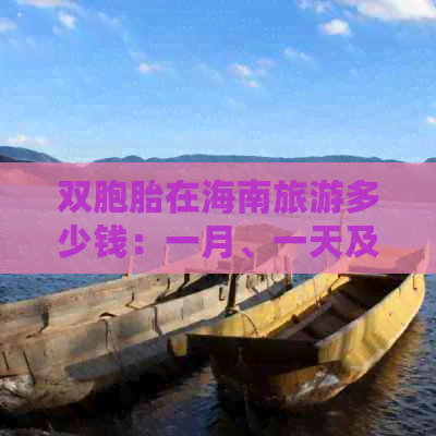 双胞胎在海南旅游多少钱：一月、一天及单次费用解析