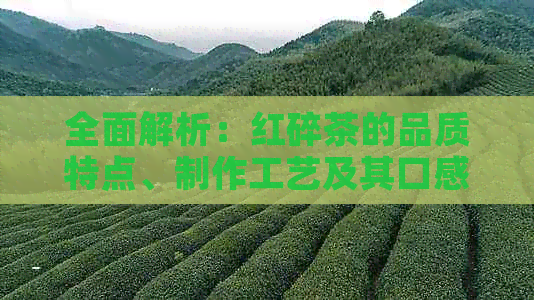 全面解析：红碎茶的品质特点、制作工艺及其口感影响因素