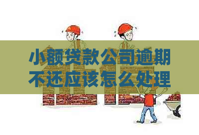 小额贷款公司逾期不还应该怎么处理