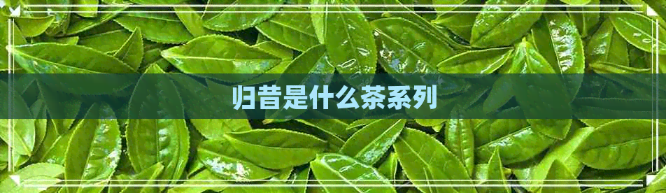 归昔是什么茶系列