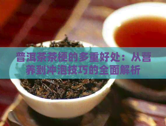 普洱茶茶梗的多重好处：从营养到冲泡技巧的全面解析