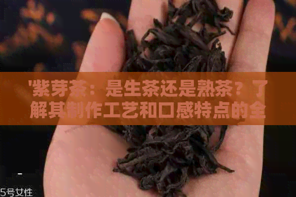 '紫芽茶：是生茶还是熟茶？了解其制作工艺和口感特点的全攻略'