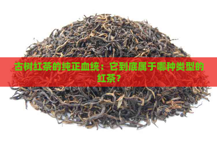 古树红茶的纯正血统：它到底属于哪种类型的红茶？