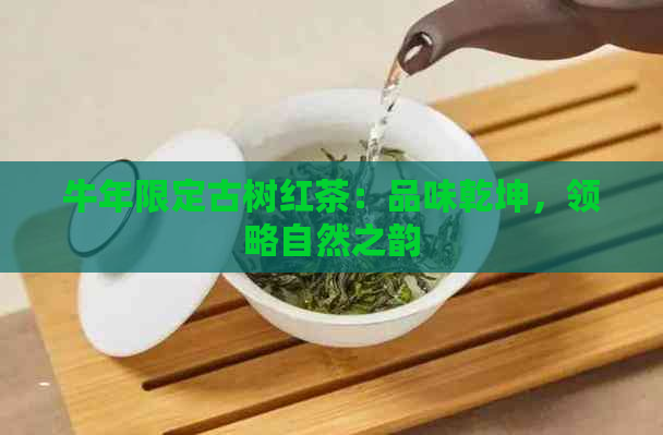 牛年限定古树红茶：品味乾坤，领略自然之韵