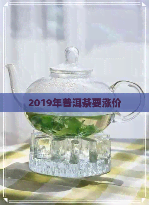 2019年普洱茶要涨价