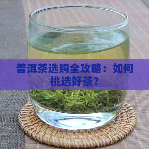 普洱茶选购全攻略：如何挑选好茶？