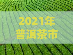 2021年普洱茶市场全景解析：价格波动、品质趋势与投资建议一文看透