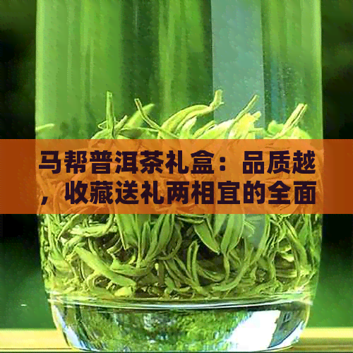 马帮普洱茶礼盒：品质越，收藏送礼两相宜的全面选择