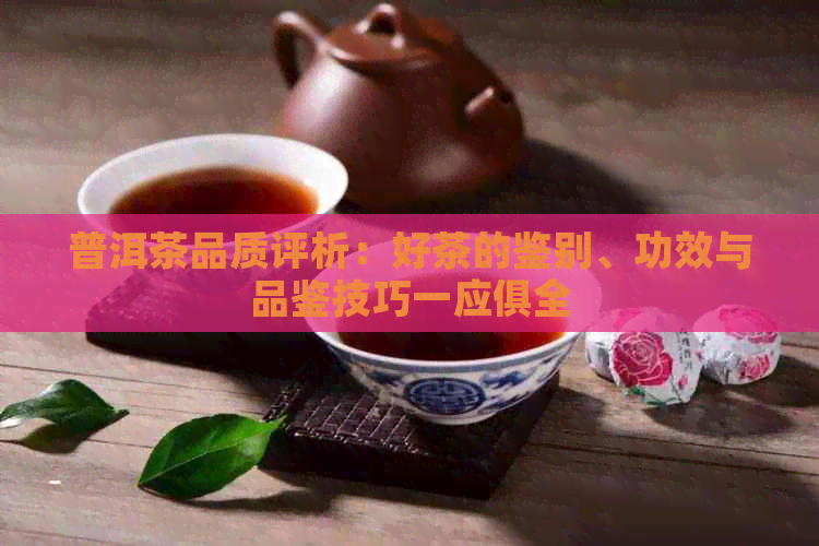 普洱茶品质评析：好茶的鉴别、功效与品鉴技巧一应俱全