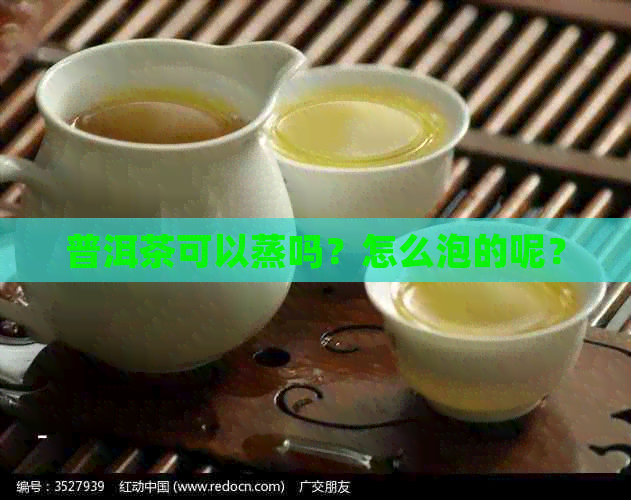 普洱茶可以蒸吗？怎么泡的呢？