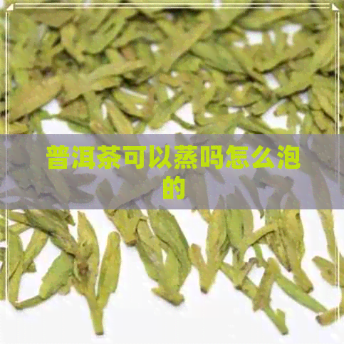 普洱茶可以蒸吗怎么泡的