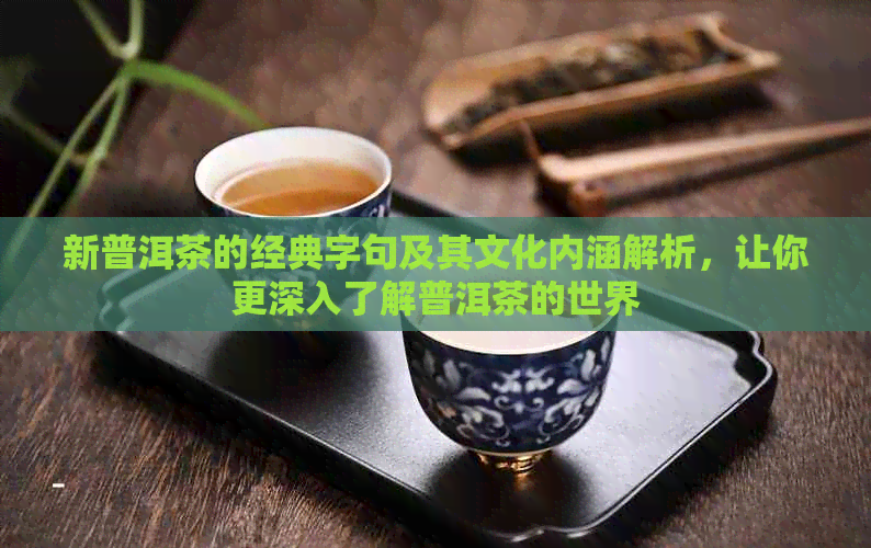 新普洱茶的经典字句及其文化内涵解析，让你更深入了解普洱茶的世界