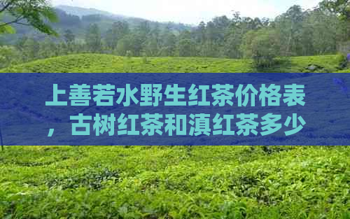 上善若水野生红茶价格表，古树红茶和滇红茶多少钱一盒？