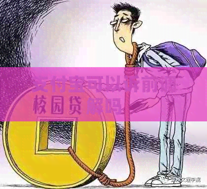 支付宝可以诉前调解吗