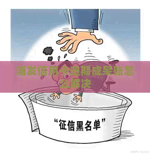 浦发信用卡逾期成呆账怎么解决