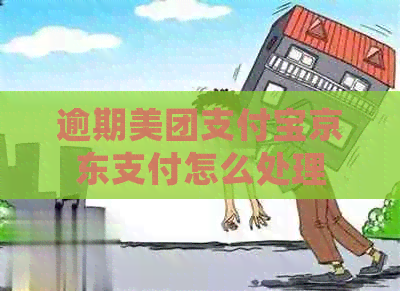 逾期美团支付宝京东支付怎么处理