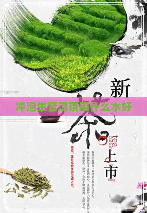 冲泡生普洱茶用什么水好