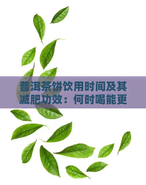 普洱茶饼饮用时间及其减肥功效：何时喝能更好地吸收？