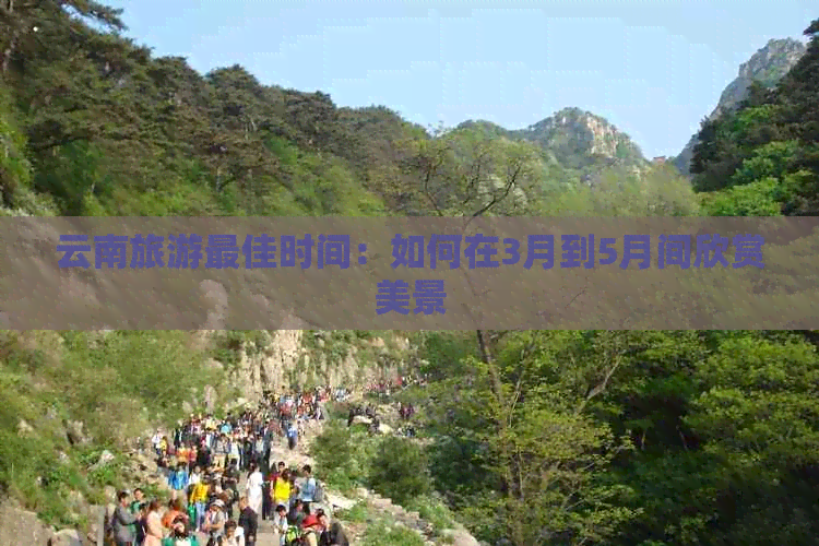 云南旅游更佳时间：如何在3月到5月间欣赏美景