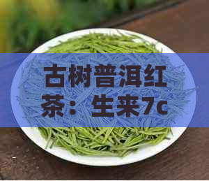 古树普洱红茶：生来7c品质与价格对比分析