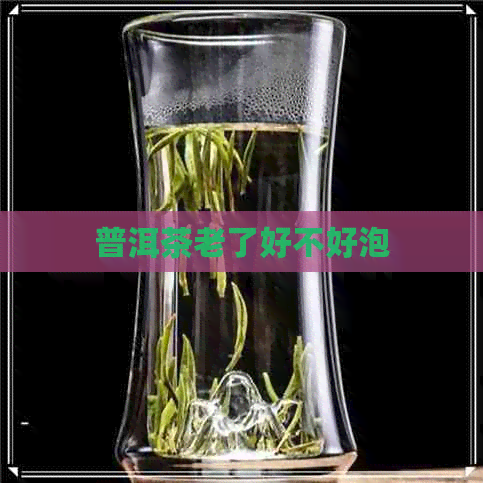 普洱茶老了好不好泡