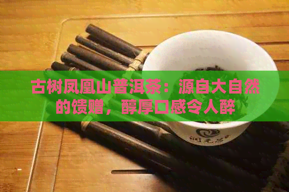 古树凤凰山普洱茶：源自大自然的馈赠，醇厚口感令人醉