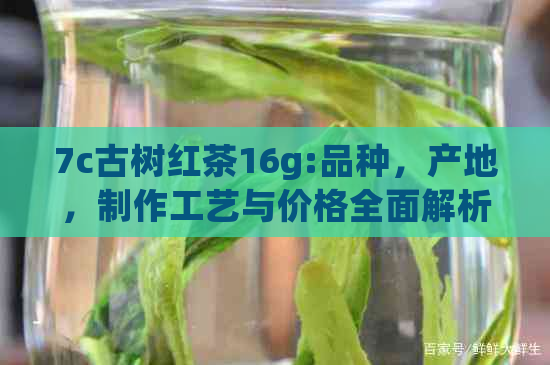 7c古树红茶16g:品种，产地，制作工艺与价格全面解析