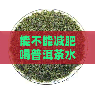 能不能减肥喝普洱茶水？减肥时喝普洱茶可以吗？减肥喝普洱茶好吗？