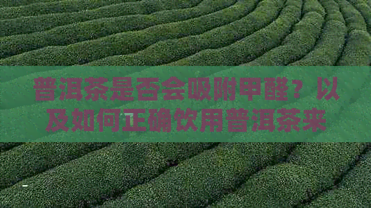 普洱茶是否会吸附甲醛？以及如何正确饮用普洱茶来减少甲醛的吸收