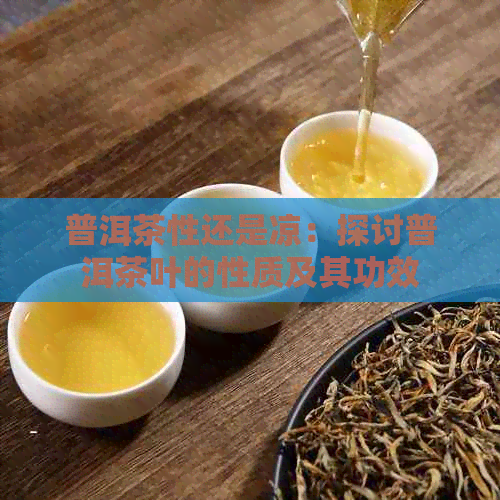 普洱茶性还是凉：探讨普洱茶叶的性质及其功效