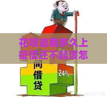 花呗逾期多久上还不起该怎么办