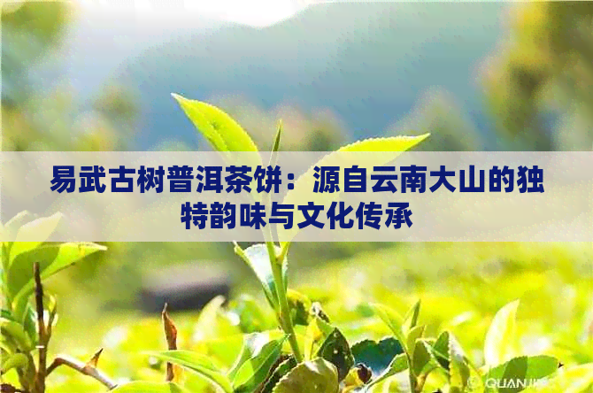 易武古树普洱茶饼：源自云南大山的独特韵味与文化传承