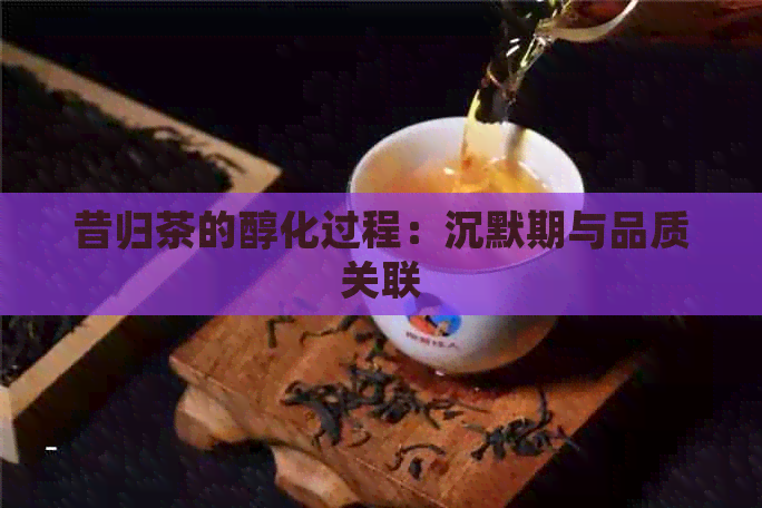 昔归茶的醇化过程：沉默期与品质关联