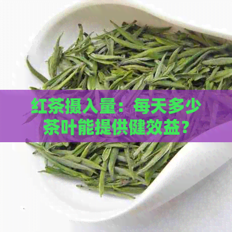 红茶摄入量：每天多少茶叶能提供健效益？