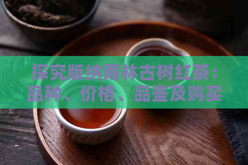 探究版纳雨林古树红茶：品种、价格、品鉴及购买指南，全面了解红茶魅力