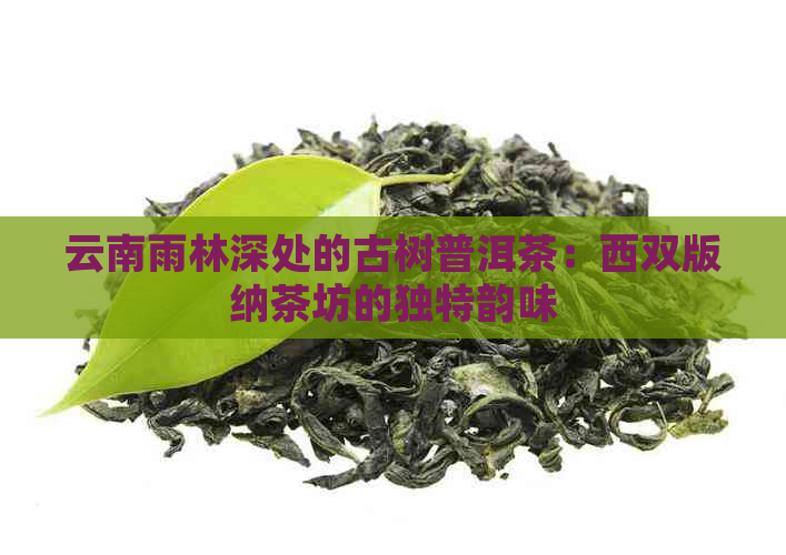 云南雨林深处的古树普洱茶：西双版纳茶坊的独特韵味