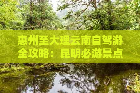 惠州至大理云南自驾游全攻略：昆明必游景点与路线推荐