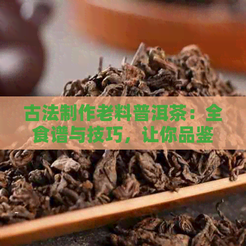 古法制作老料普洱茶：全食谱与技巧，让你品鉴真正的茶道艺术