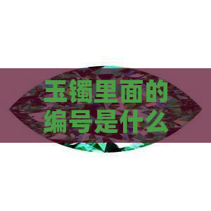 玉镯里面的编号是什么——探究玉手镯上的编号含义与查询方法