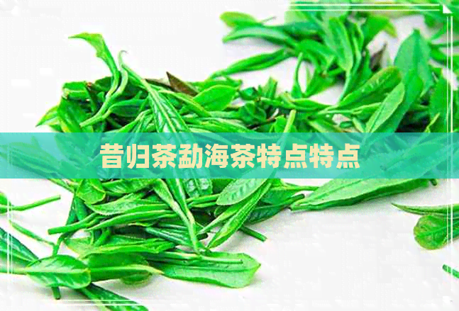 昔归茶勐海茶特点特点