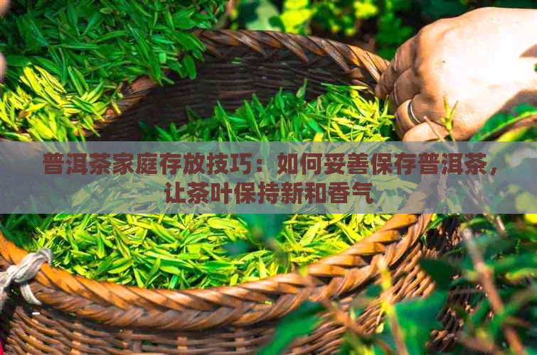 普洱茶家庭存放技巧：如何妥善保存普洱茶，让茶叶保持新和香气