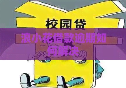 浪小花借款逾期如何解决