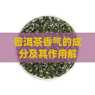 普洱茶香气的成分及其作用解析