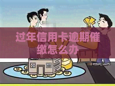 过年信用卡逾期催缴怎么办