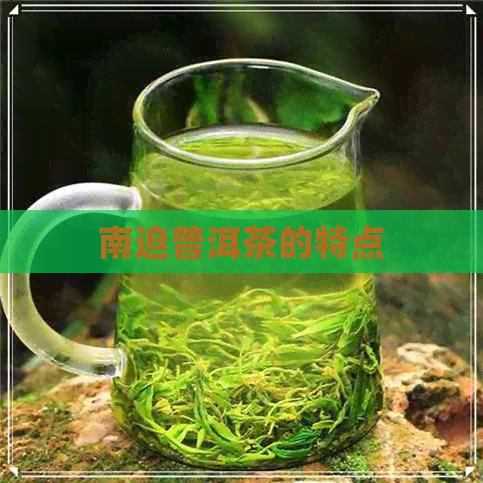 南迫普洱茶的特点