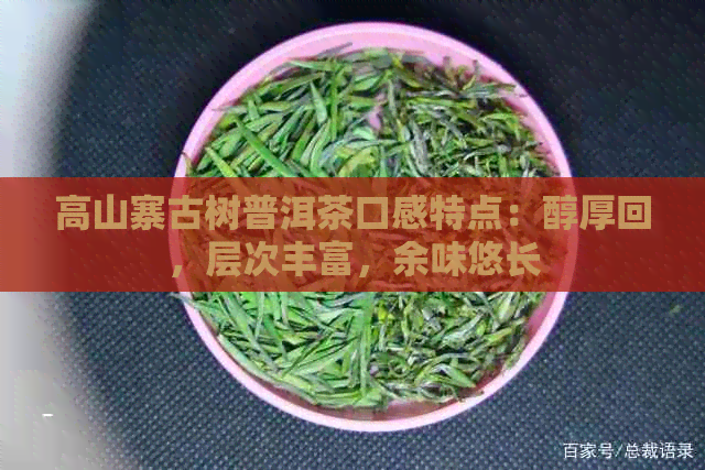 高山寨古树普洱茶口感特点：醇厚回，层次丰富，余味悠长