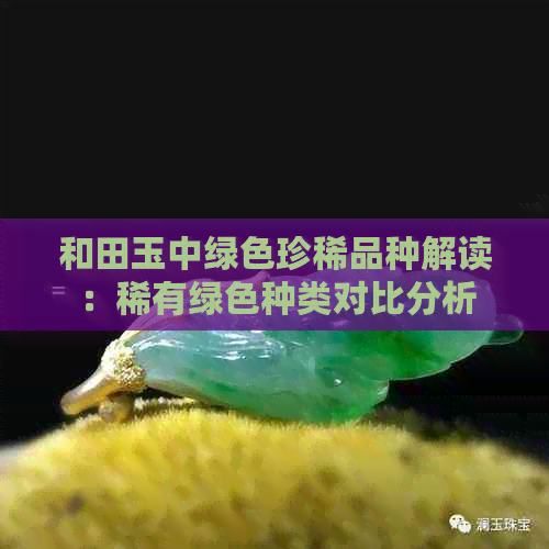 和田玉中绿色珍稀品种解读：稀有绿色种类对比分析