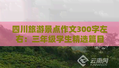 四川旅游景点作文300字左右：三年级学生精选篇目（300字500字）