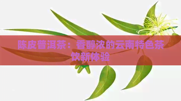 陈皮普洱茶：香醇浓的云南特色茶饮新体验